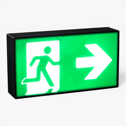 Rettungsweg Notausgang E002 Rettungsausstieg Rettungszeichen ASR-Zeichen Lampe