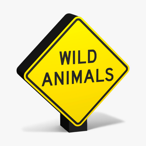 Wild Animals Lampe