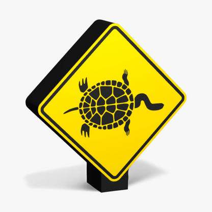Long-necked Tortoises Lampe