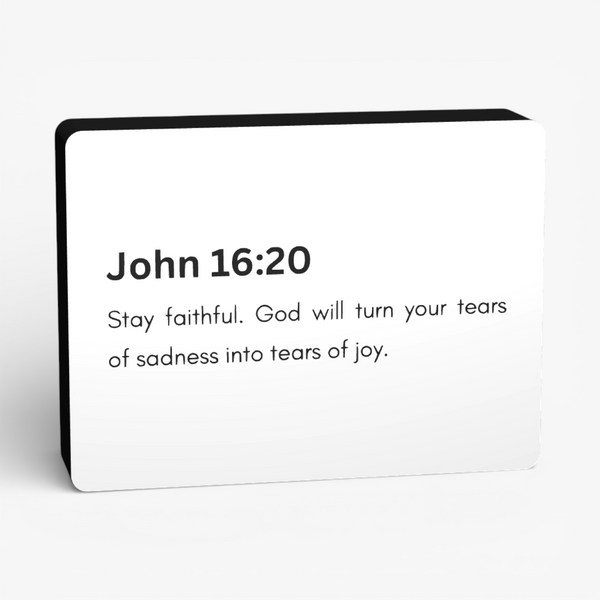 John 16:20 Lampe