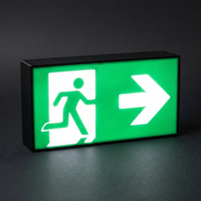 Rettungsweg Notausgang E002 Rettungsausstieg Rettungszeichen ASR-Zeichen Lampe
