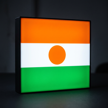 Niger Flagge Lampe leuchtend