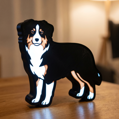 Australian Shepherd Lampe