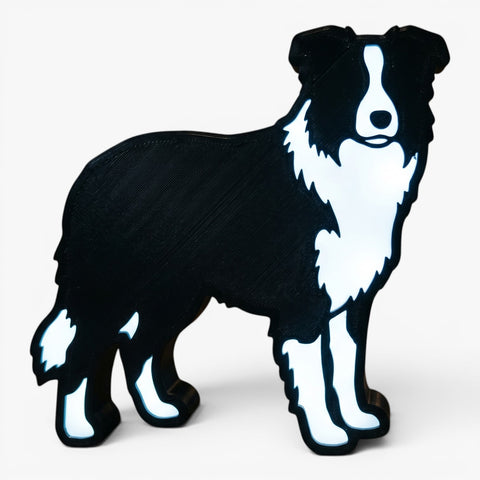 Border Collie Lampe