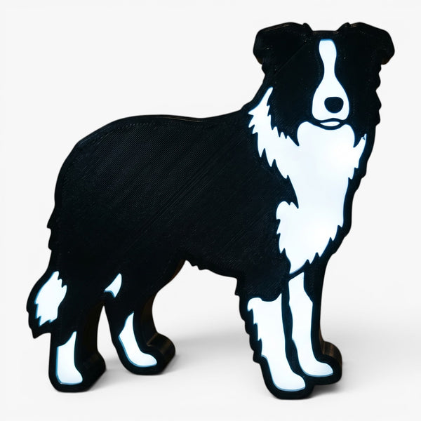 Border Collie Lampe